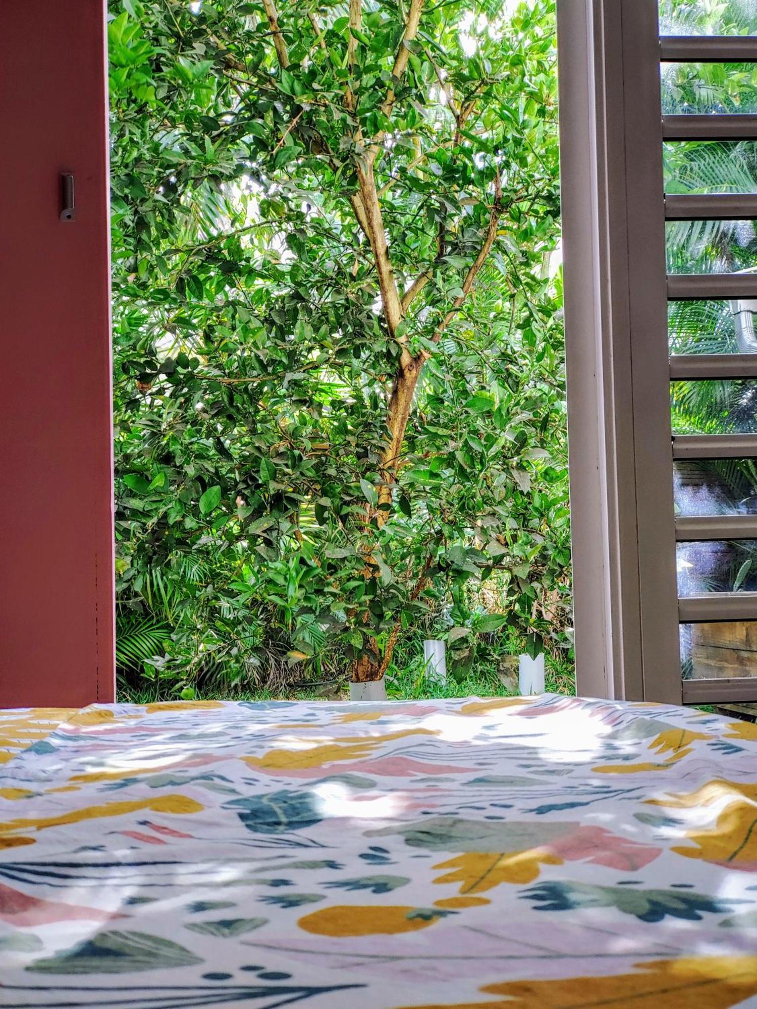 Eskal Pei - Auberge De Jeunesse & Chambres D'Hotes Étang-Salé les Bains Bagian luar foto